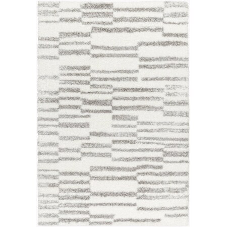 Cloudy Shag CDG-2328 Machine Crafted Area Rug